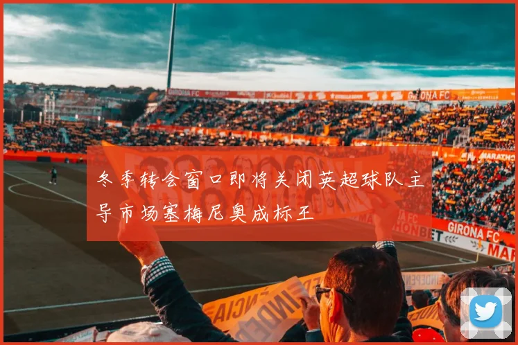 冬季转会窗口即将关闭英超球队主导市场塞梅尼奥成标王