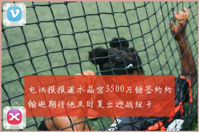 电讯报报道水晶宫3500万镑签约约翰逊期待他及时复出迎战纽卡